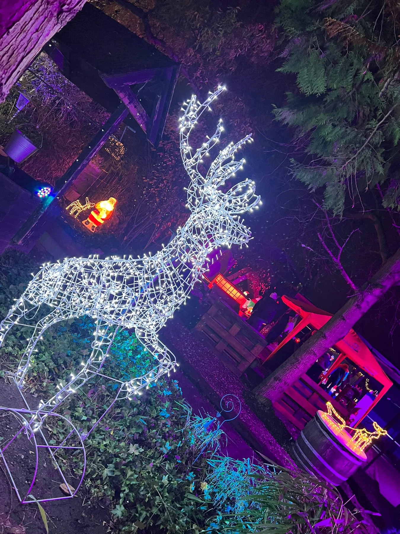 Leuchtendes Rentier und festliche Beleuchtung beim Christmas Feeling